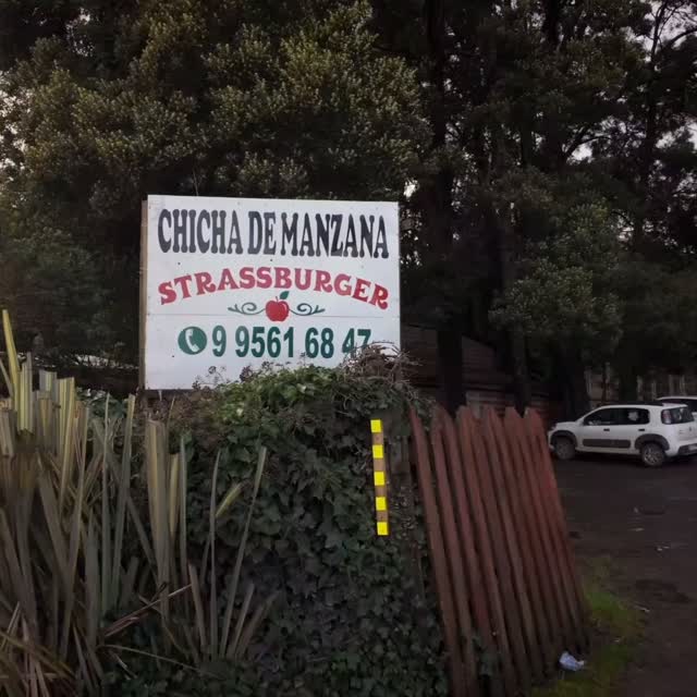 El rescate de las manzanas patrimoniales del sur en manos de la Chichería Strassburger.