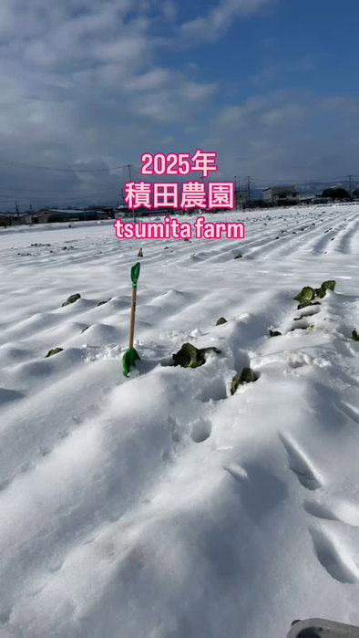 積田農園のInstagram投稿 1